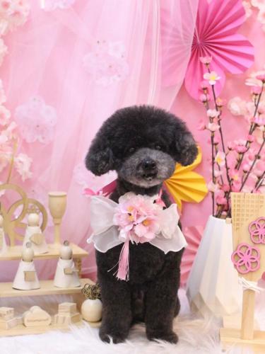 20250306コタロウくん